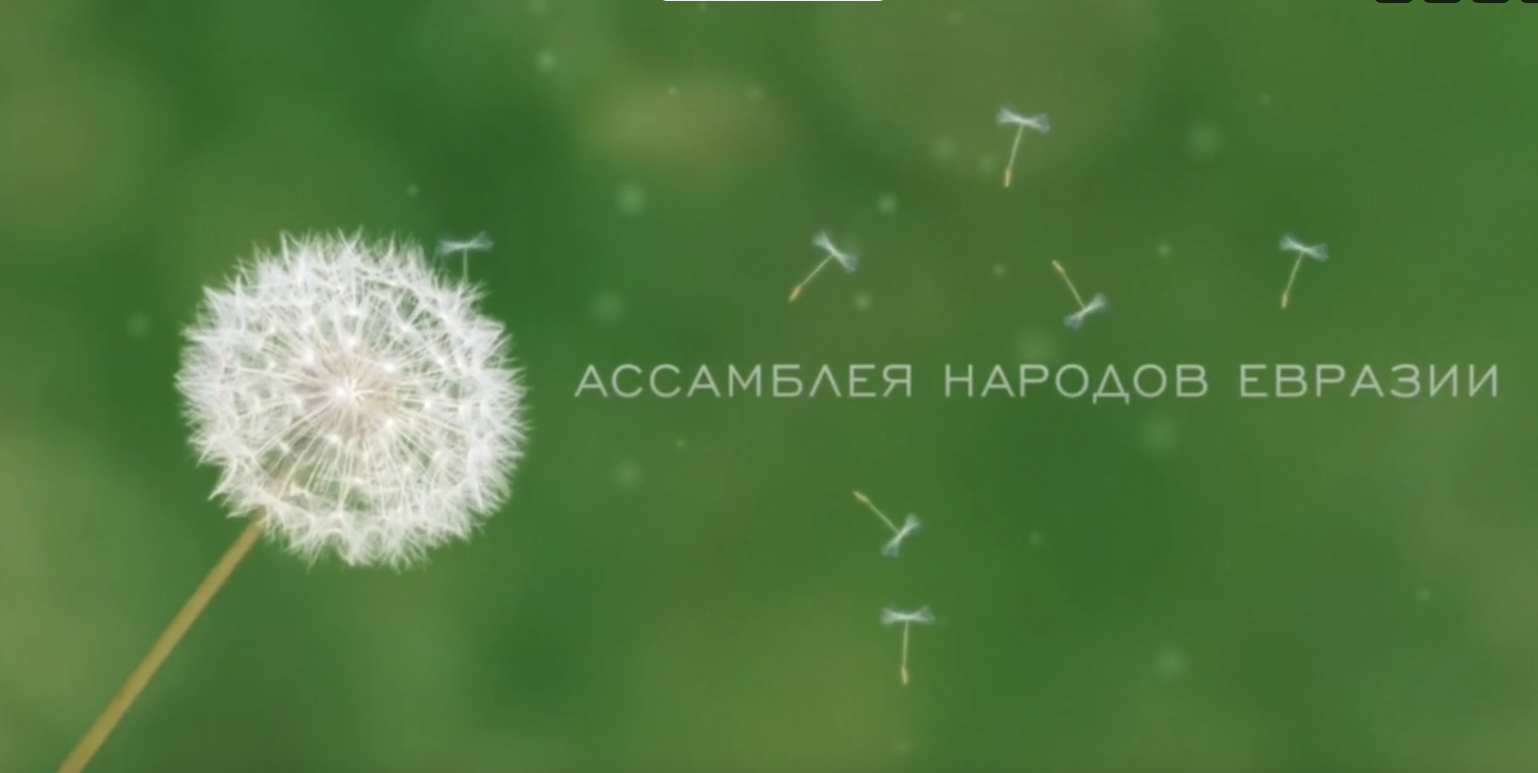 02.11.2023 Мир рисует счастье. Выставка творческих работ в Египте